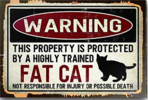 Tavla Plåtskylt Retro Fat Cat