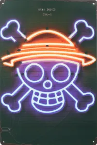 Tavla Plåtskylt Retro Skull