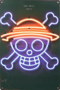 Tavla Plåtskylt Retro Skull