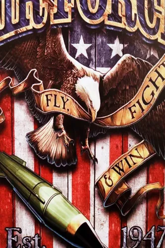 Tavla Plåtskylt Retro Air Force