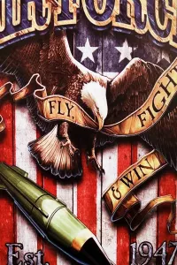 Tavla Plåtskylt Retro Air Force