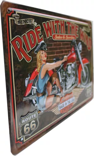 Tavla Plåtskylt Retro 3D