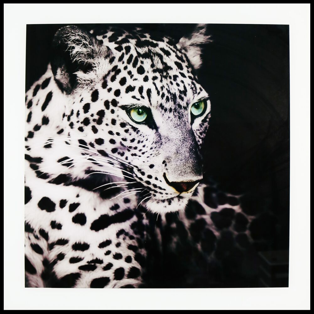 Maleri i Glass Leopard Grønne Øyne
