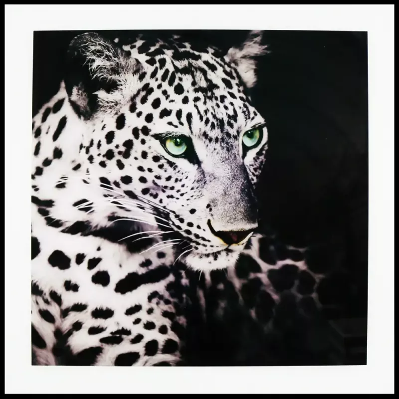 Tavla i Glas Leopard Gröna Ögon