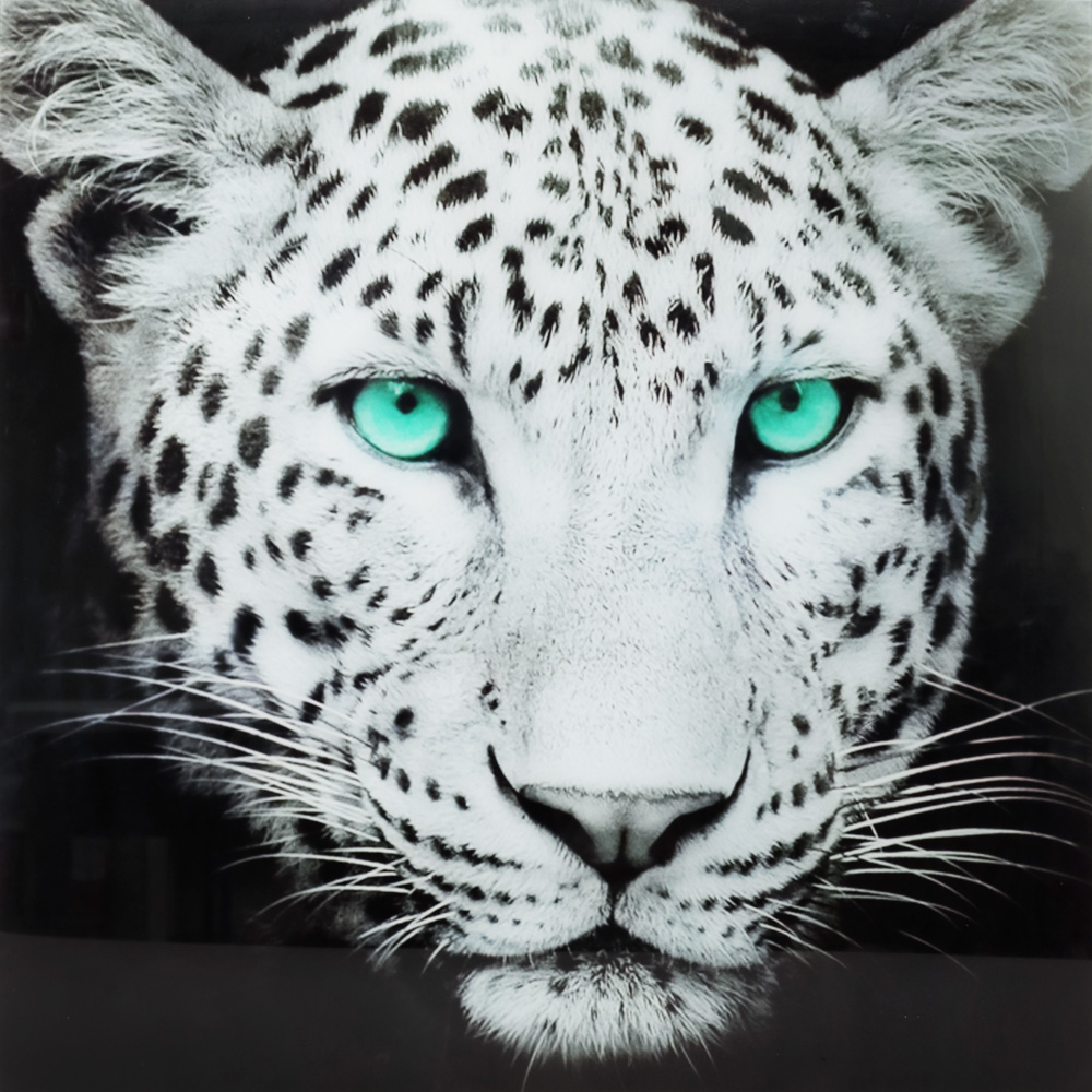 Maleri i Herdet Glass Svær Leopard