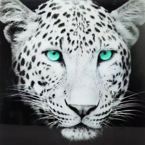 Tavla i Härdat Glas Leopard