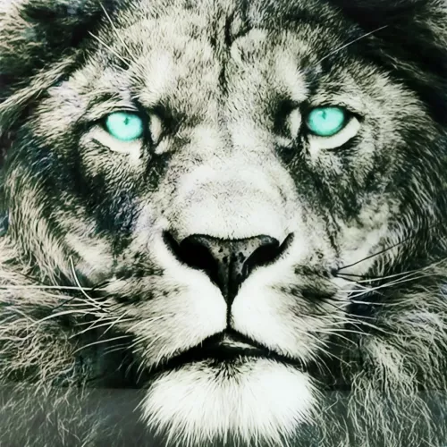 Tavla i Härdat Glas Lejon