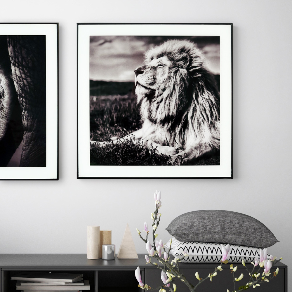 Maleri i Glass Løve