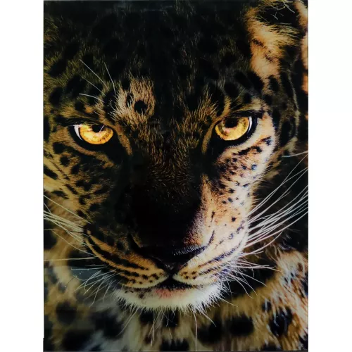 Tavla i Härdat Glas Leopard