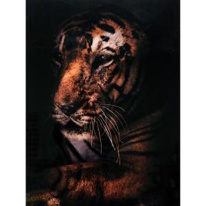 Maleri i Glass Old Tiger