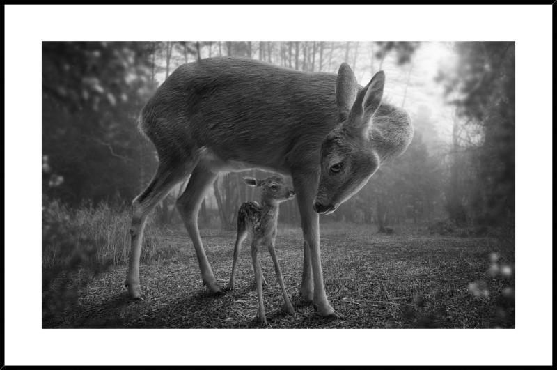 Maleri i Glass Bambi