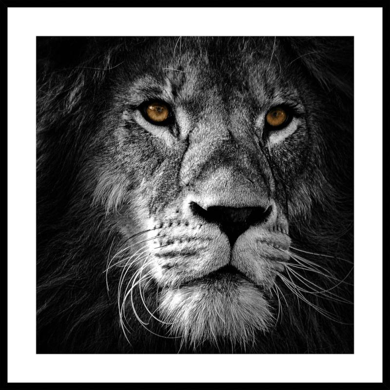 Maleri i Glass Løve