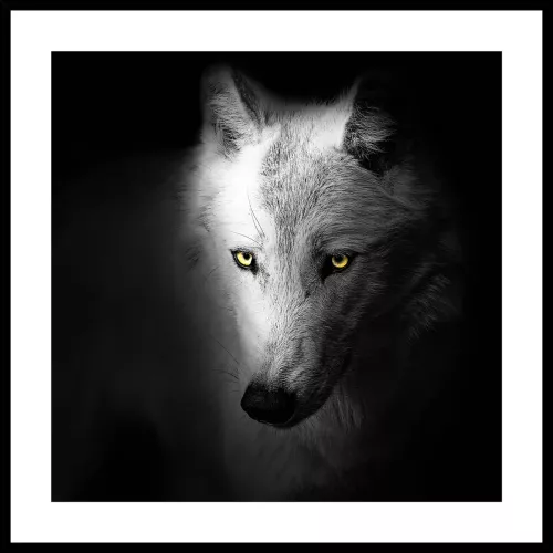 Tavla i Glas Vit Varg