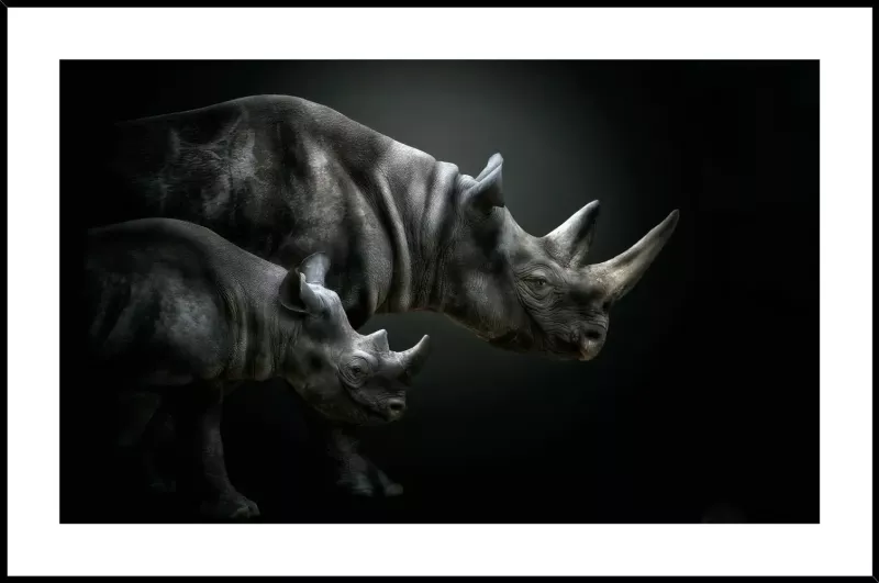 Tavla i Glas Noshörning