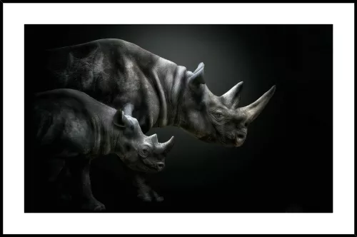 Tavla i Glas Noshörning