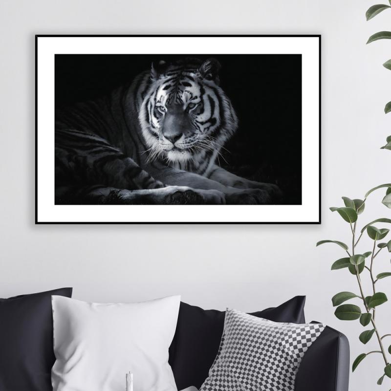 Maleri i Glass Tiger