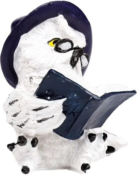 Ugle Leser Trylleformelbok