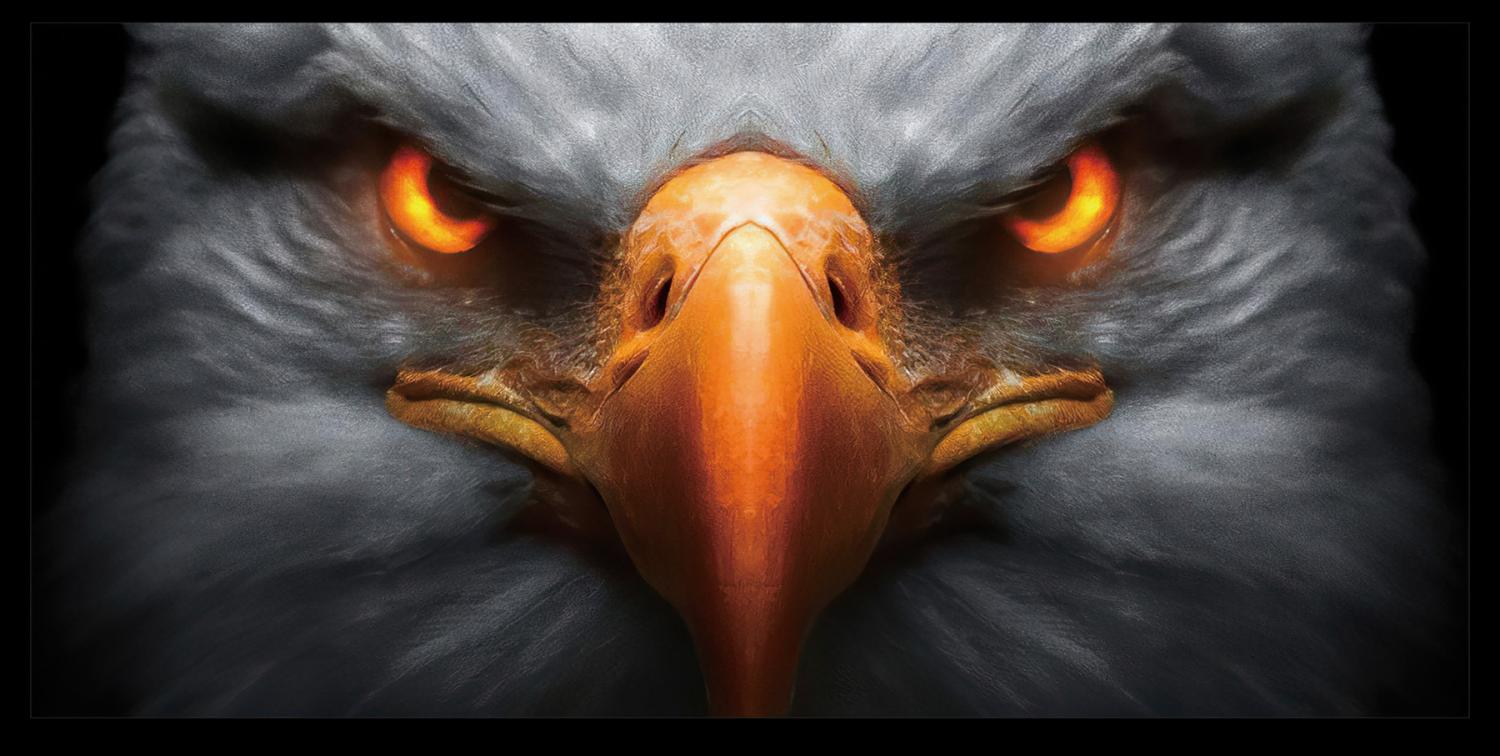 Maleri HD Print Eagle