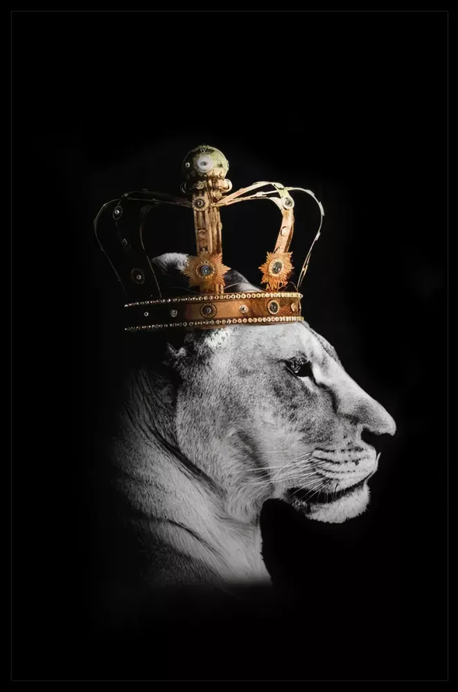 Tavla HD Print Lion Queen