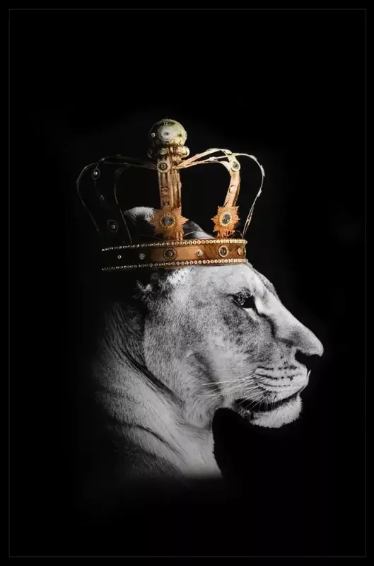 Bilde HD Print Lion Queen