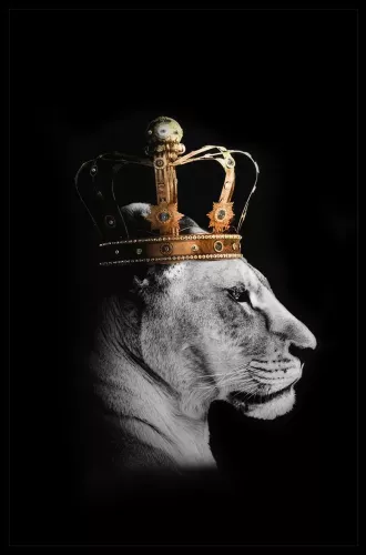 Tavla HD Print Lion Queen