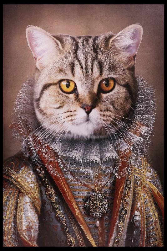 Tavla HD Print Cat Royalty