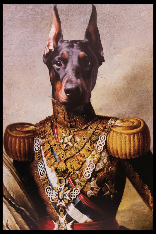 Tavla HD Print Doberman Royalty