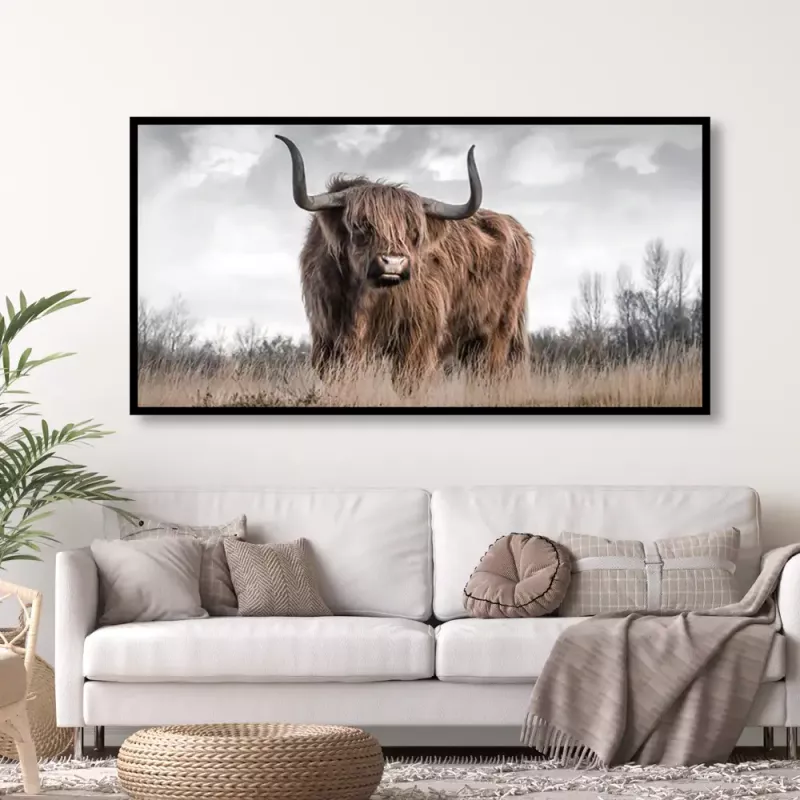 Bilde HD Print Highland Cattle