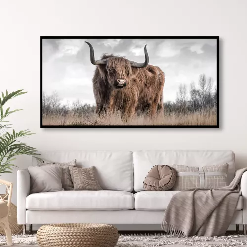 Tavla HD Print Highland Cattle