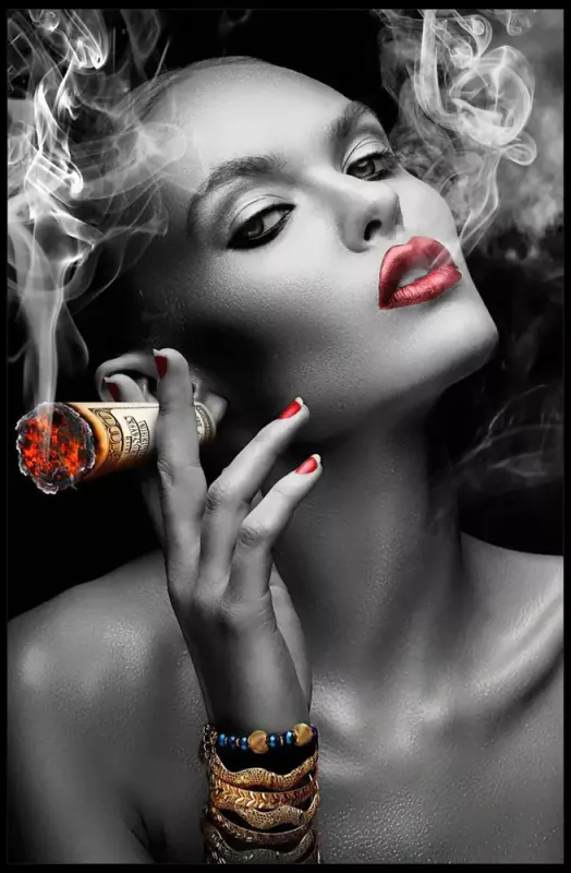 Tavla HD Print Smoking Dollar