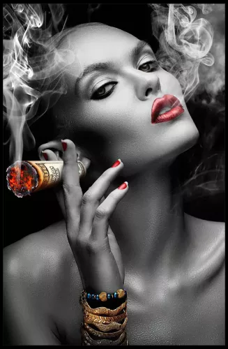 Tavla HD Print Smoking Dollar