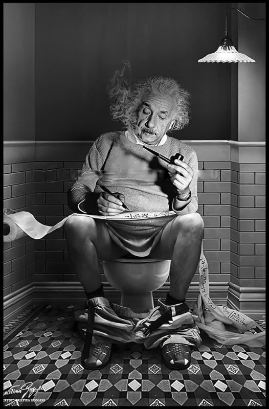 Tavla HD Print Einstein on Toilet