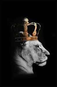 Tavla HD Print Lion Queen