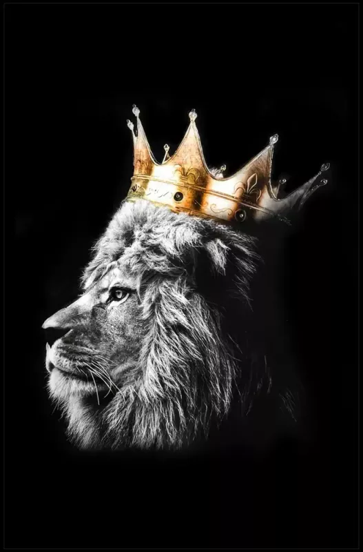 Tavla HD Print Lion King