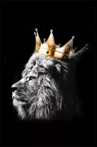 Tavla HD Print Lion King