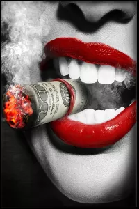 Bilde HD Print Dollar Cigar