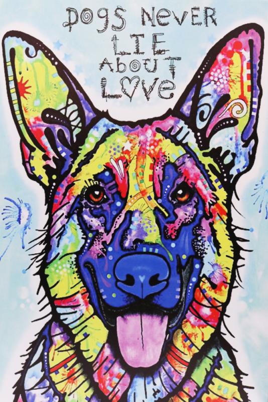 Tavla Canvas Schäfer