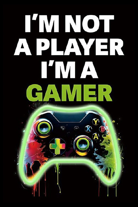 Bilde LED Gamer Control