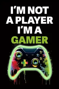 Bilde LED Gamer Control