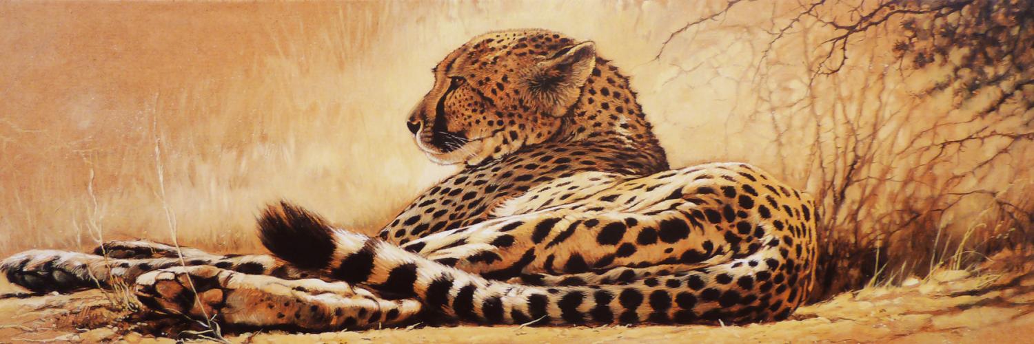 Larretsbilde Leopard