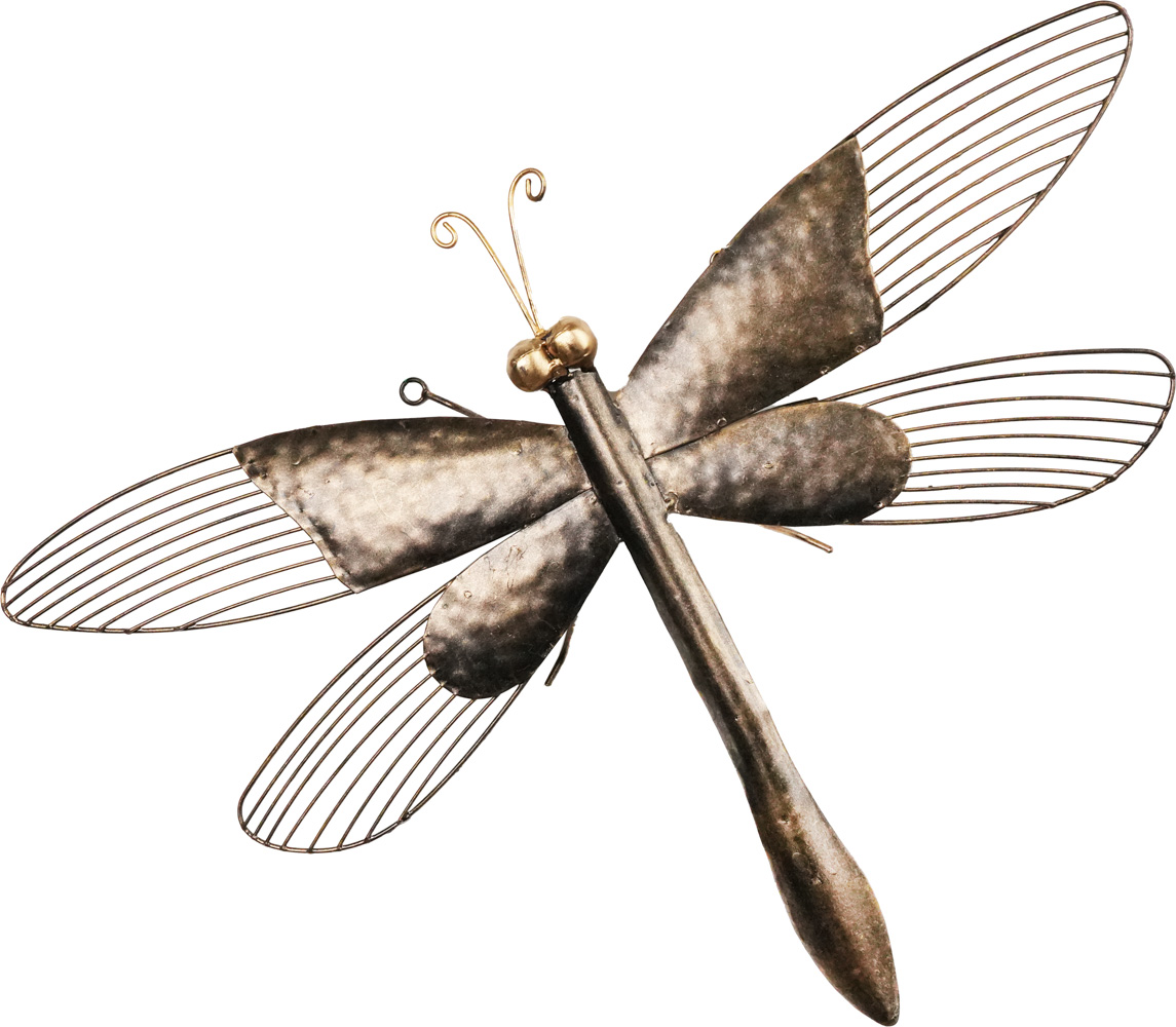 Väggdekoration Trollslända