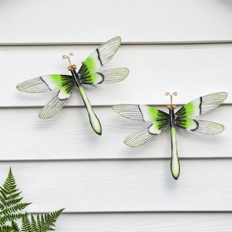 Veggdekorasjon Øyenstikker