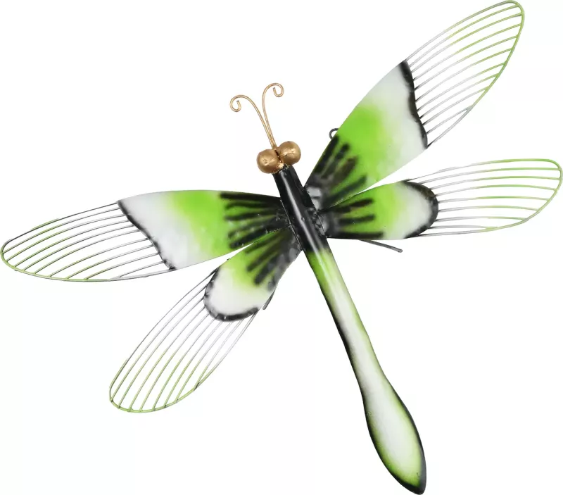 Veggdekorasjon Øyenstikker