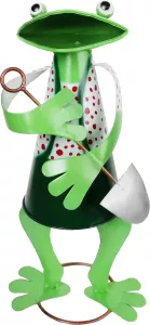 Dekorasjon Frosk Hage