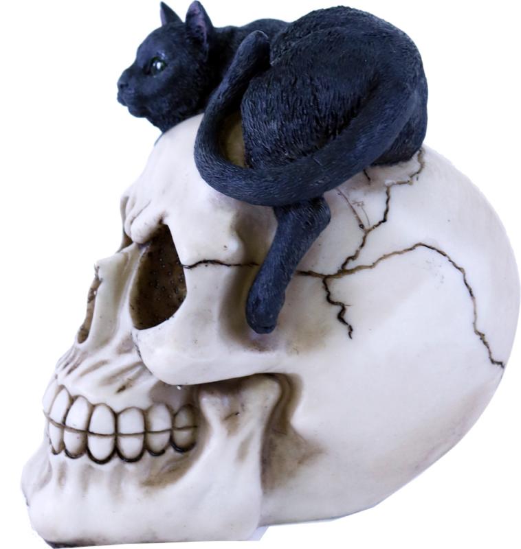 Dödskalle Svart Katt