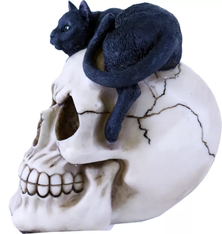 Hodeskalle Sort Katt