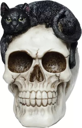 Dödskalle Svart Katt