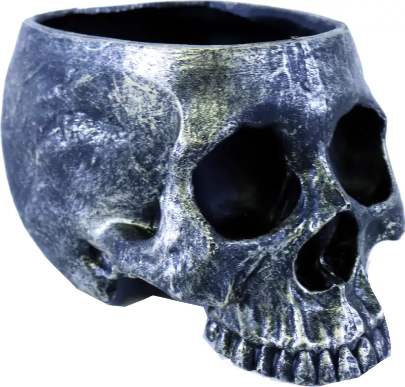 Hodeskalle Blomsterpotte