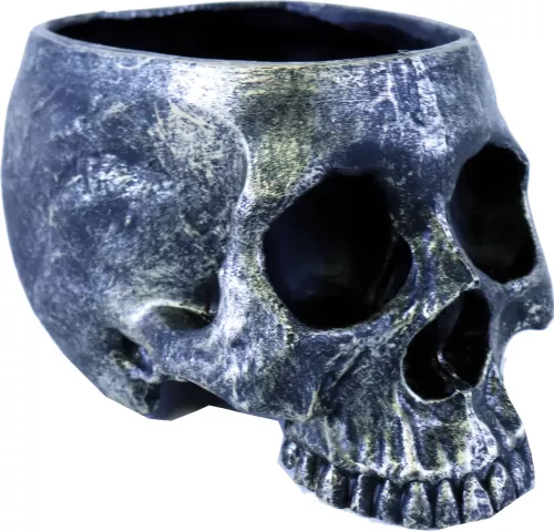 Dödskalle Blomkruka/Godisskål