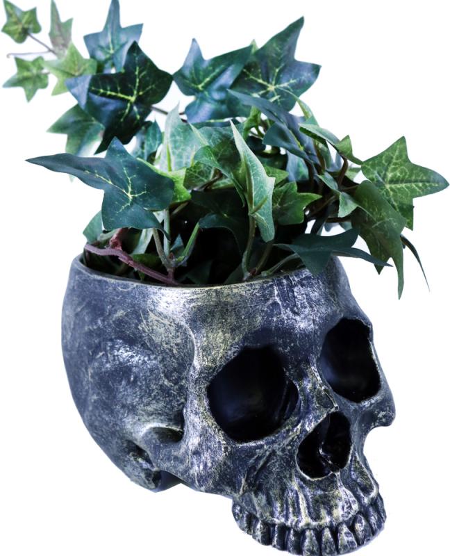 Dödskalle Blomkruka/Godisskål